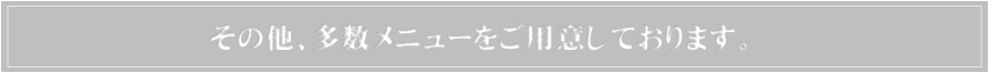 その他、多数メニューをご用意