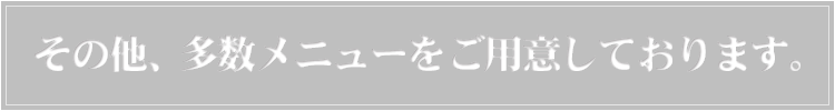 その他、多数メニューをご用意